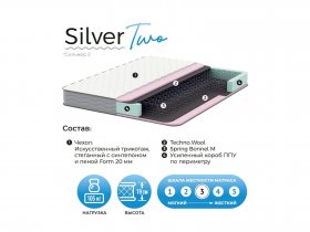 Матрас Silver Two в Красном Яре - krasnyj-yar.mebel-nsk.ru | фото